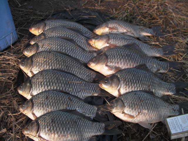 ũ⺯ȯ_SANY0067.JPG