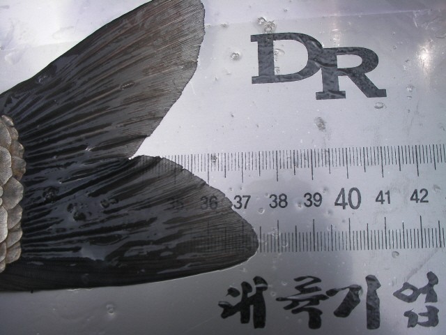 ũ⺯ȯ_SANY0035.JPG