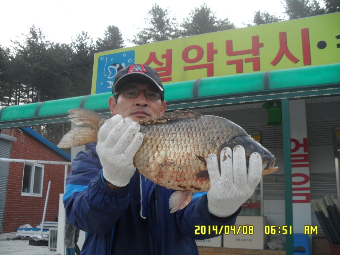 SAM_0919.JPG