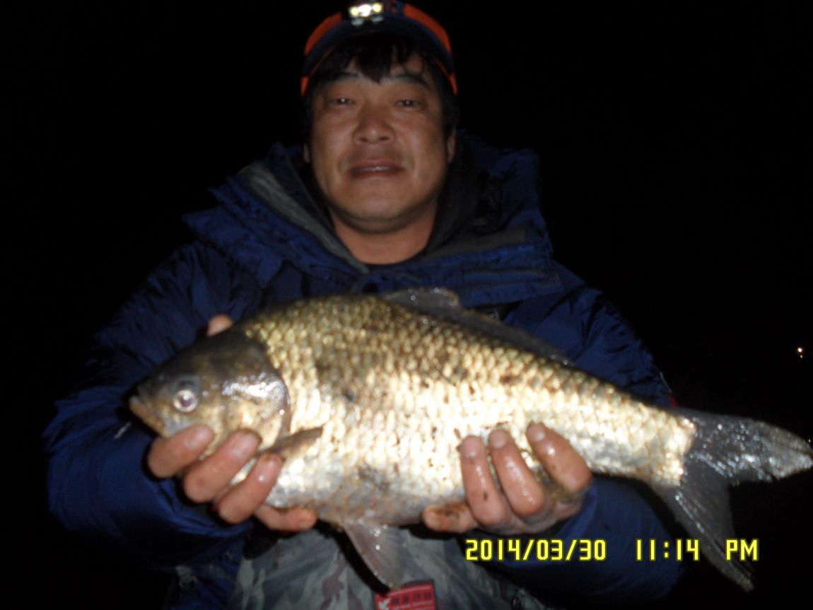 SAM_0910.JPG