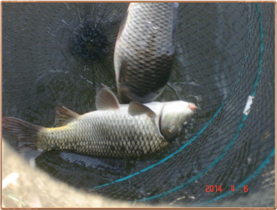 603ī 009.jpg