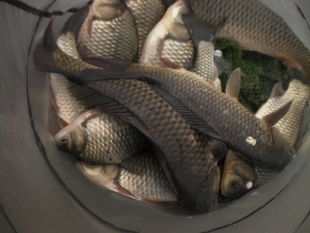 ũ⺯ȯ_SANY0046.JPG