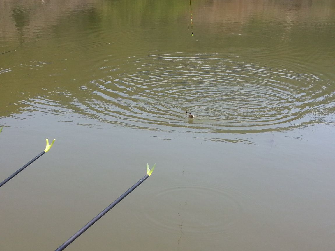 20140406_110516.jpg