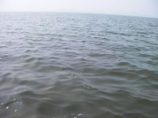 ũ�⺯ȯ_SANY0056.JPG