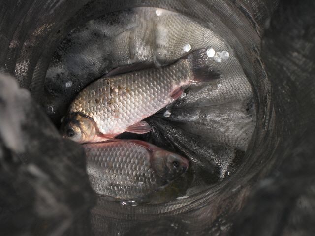 ũ�⺯ȯ_SANY0068.JPG