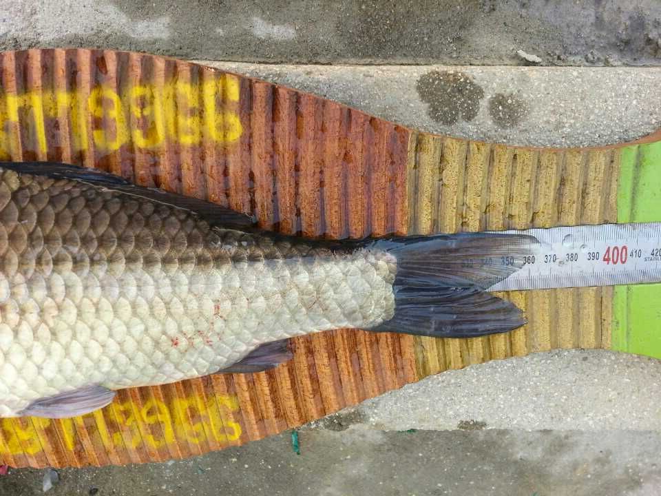 1397623639370.jpg