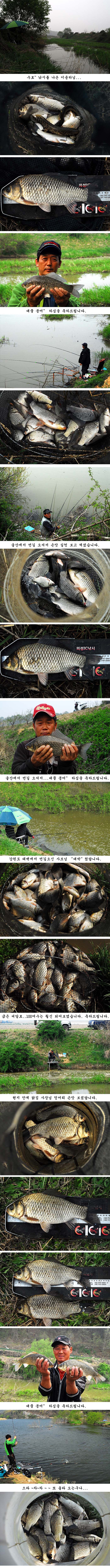 q7 纻.jpg