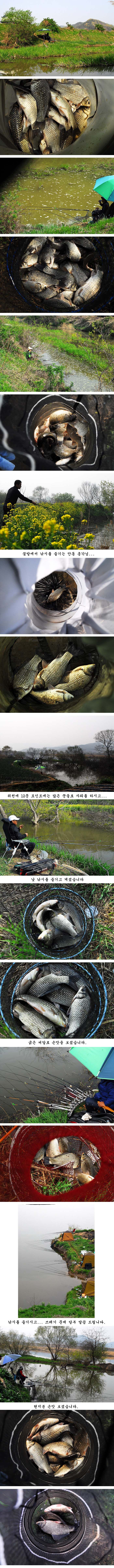 q2 纻.jpg