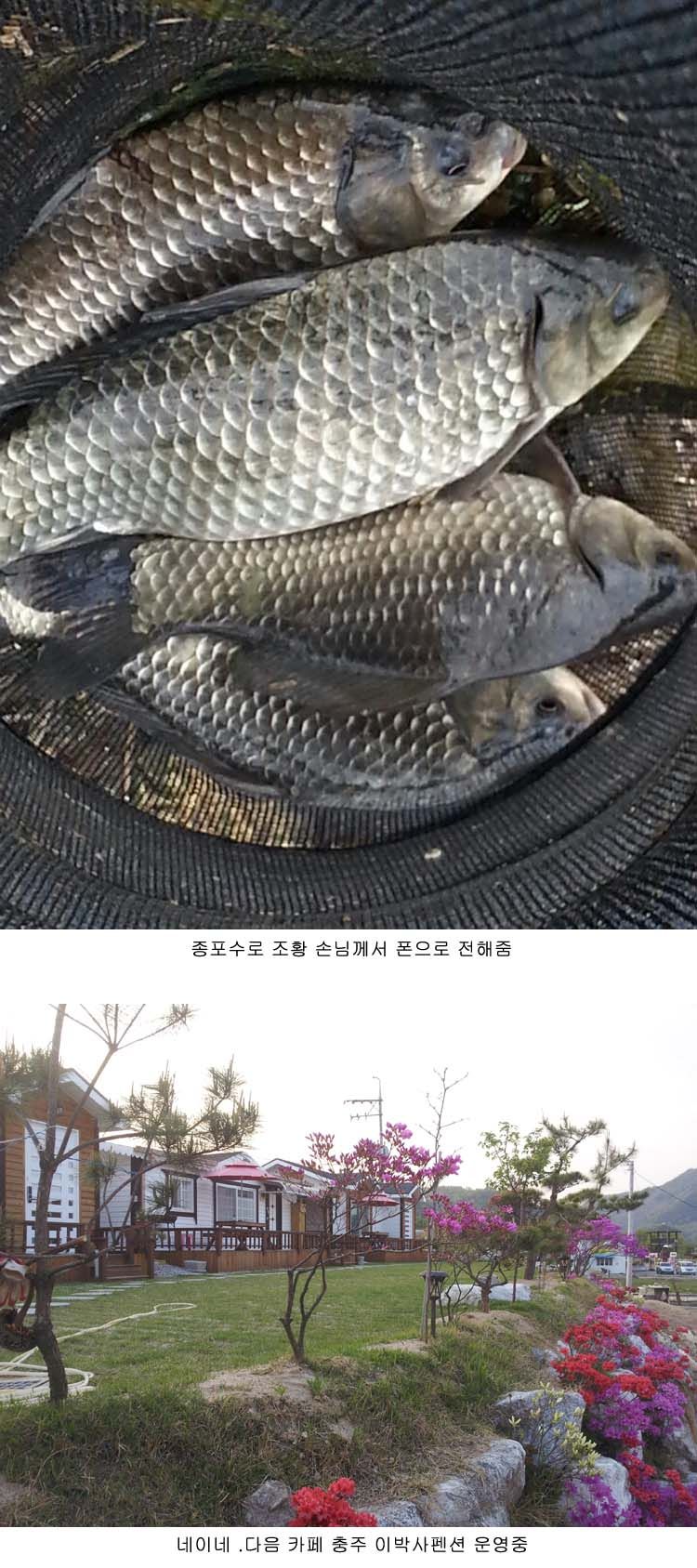 kkk222.jpg