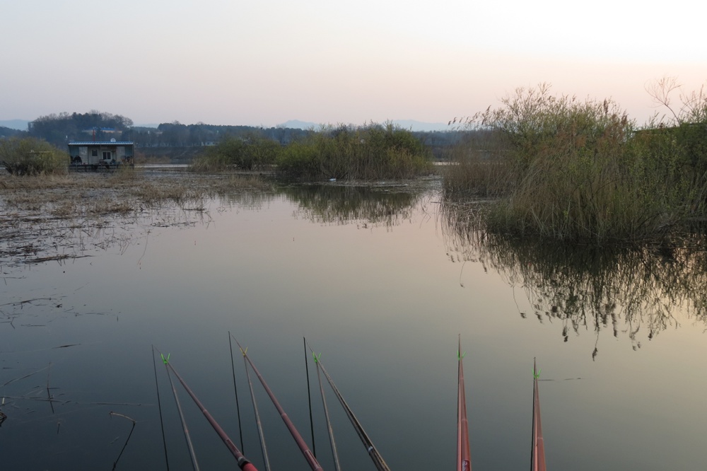 ��õ�������� 003.jpg