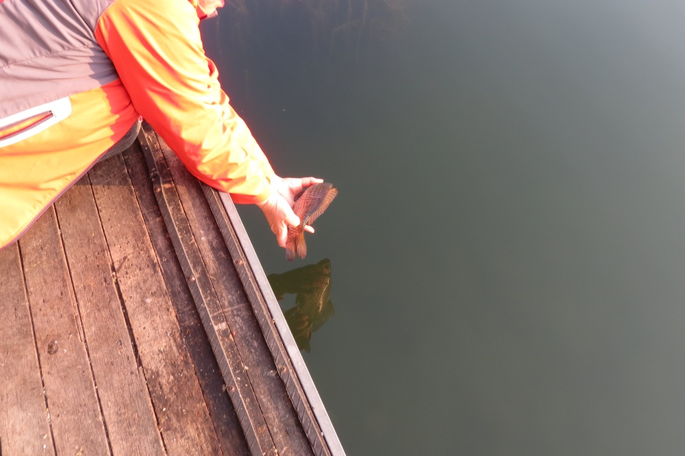 ��õ�������� 017.jpg