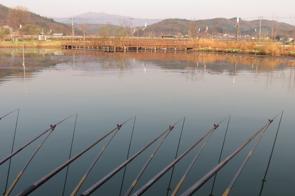 ��õ�������� 022.jpg