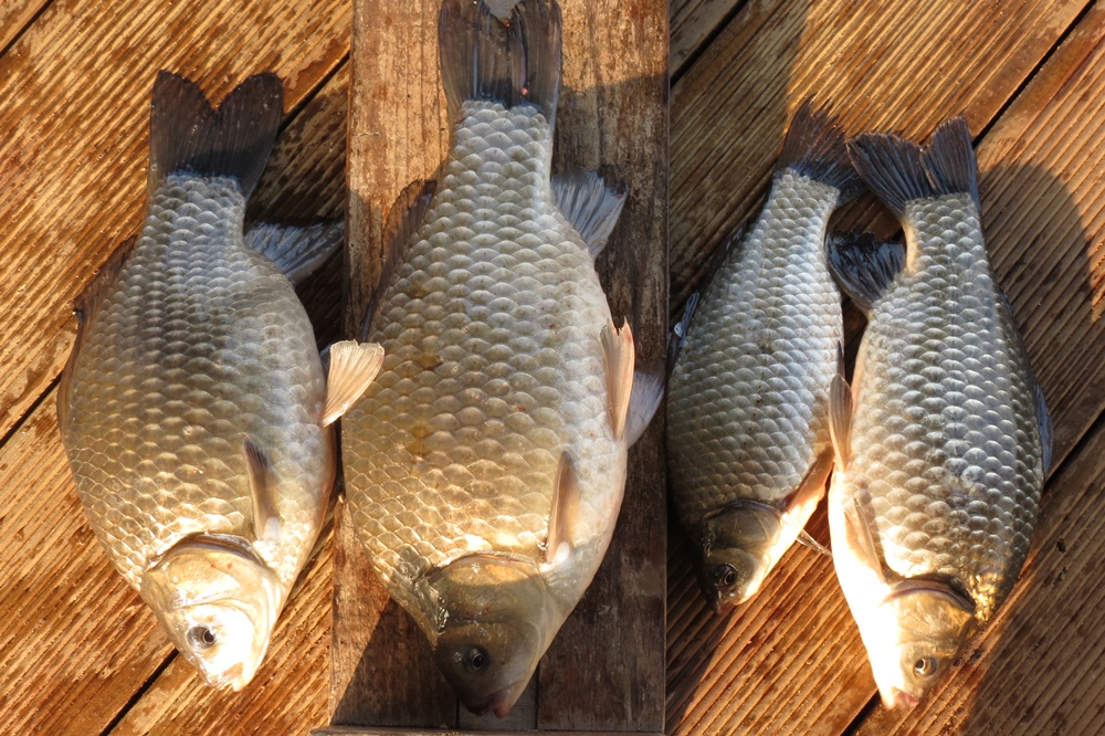 ��õ�������� 040.jpg