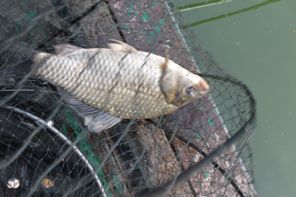 ��õ�������� 051.jpg