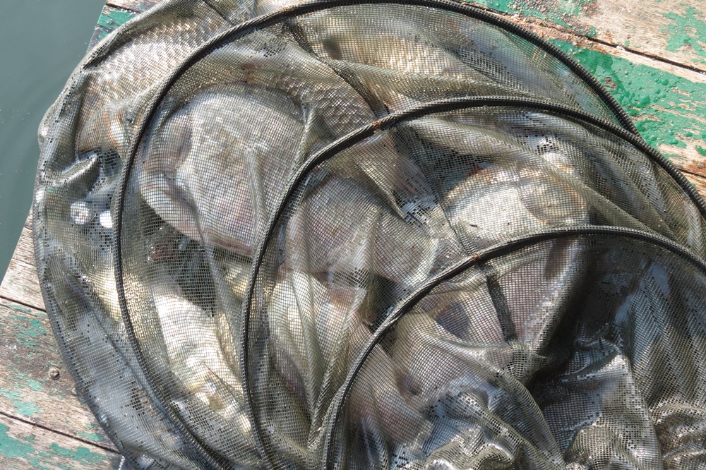 ��õ�������� 059.jpg