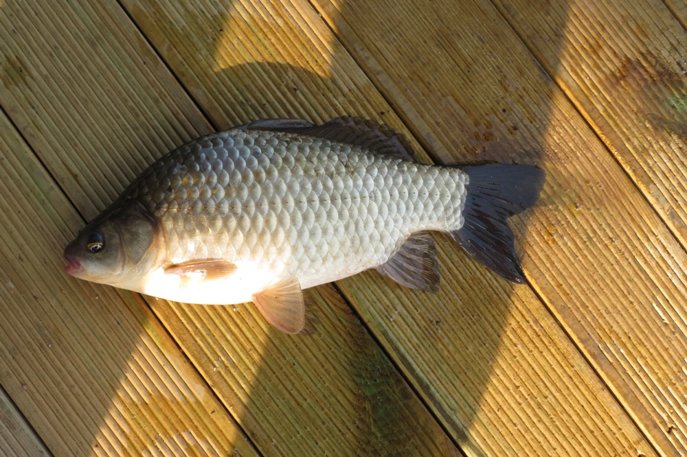 ��õ�������� 062.jpg