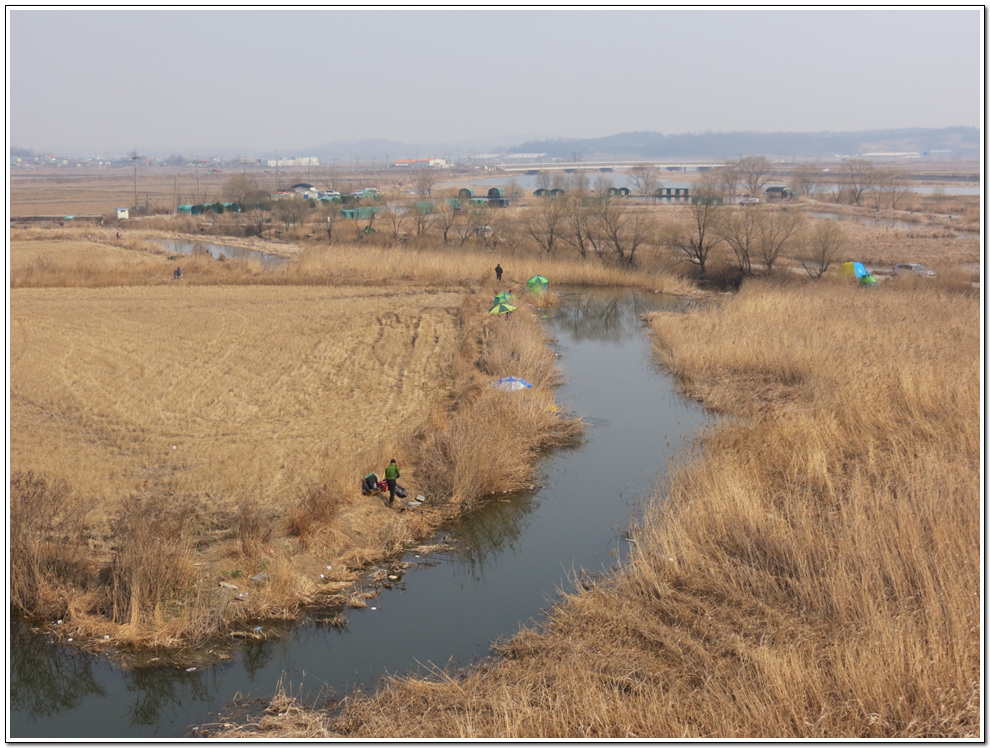 ���� 1487.jpg