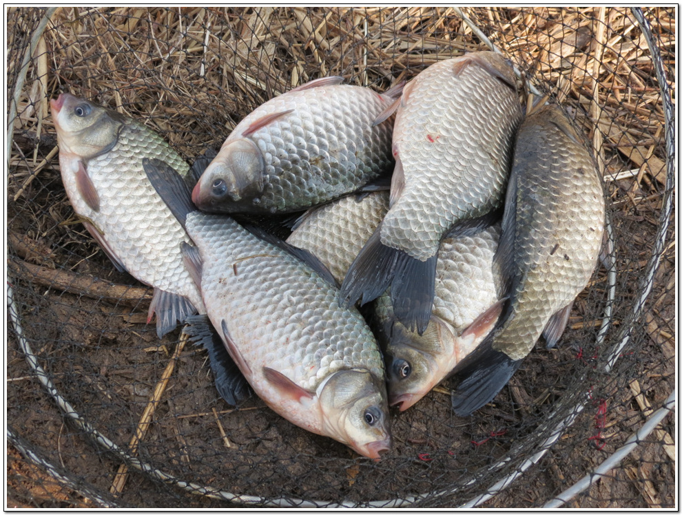 ���� 1489.jpg