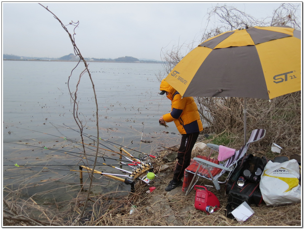 ���� 1502.jpg