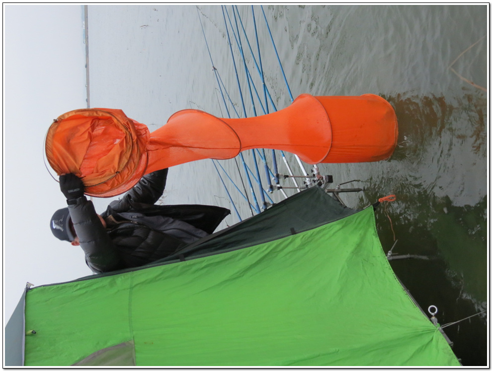 ���� 1504.jpg