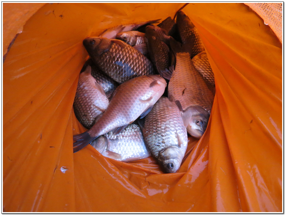 ���� 1505.jpg