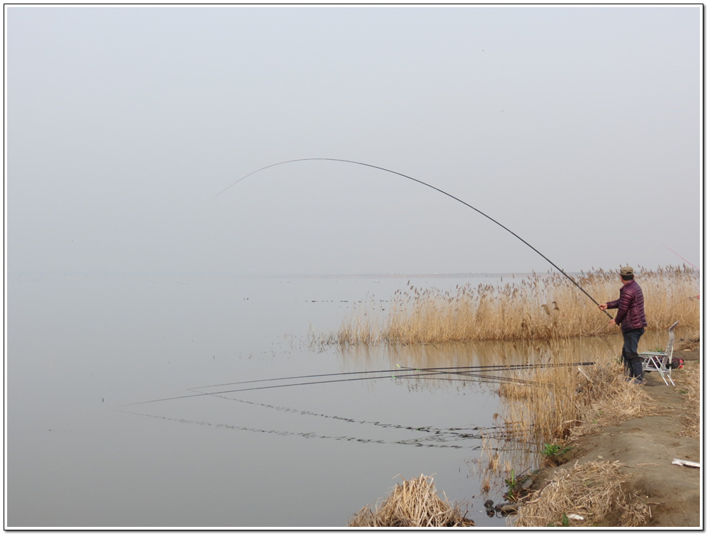 ���� 1508.jpg