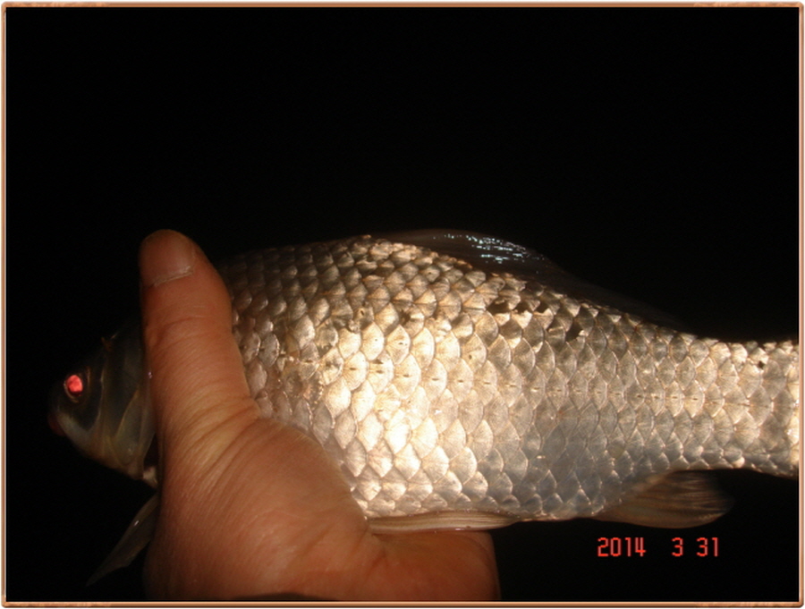 603��ī 005.jpg