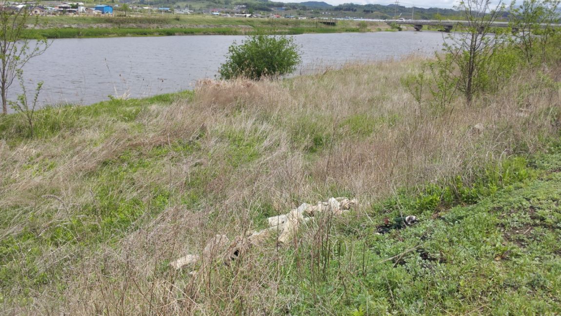 20140429_122356.jpg