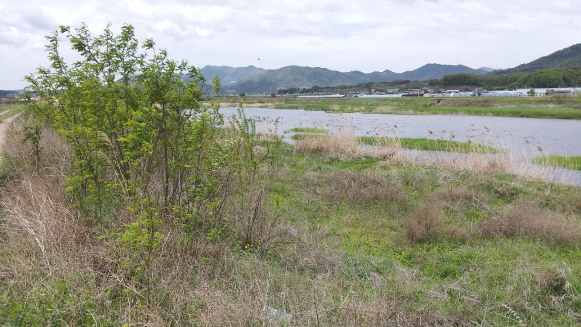 20140429_122419.jpg