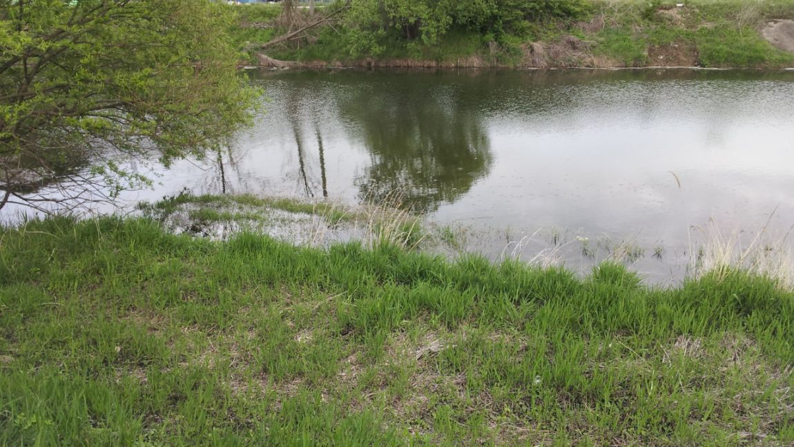 20140429_180851.jpg
