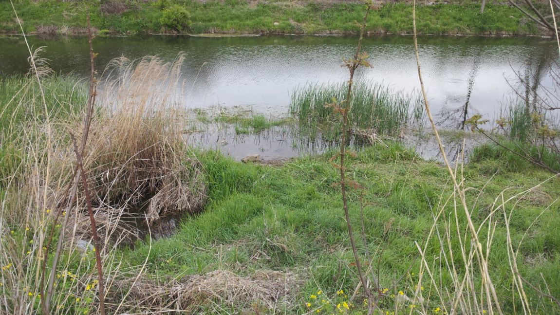 20140429_180923.jpg