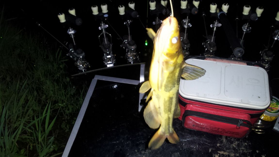 20140429_202255.jpg