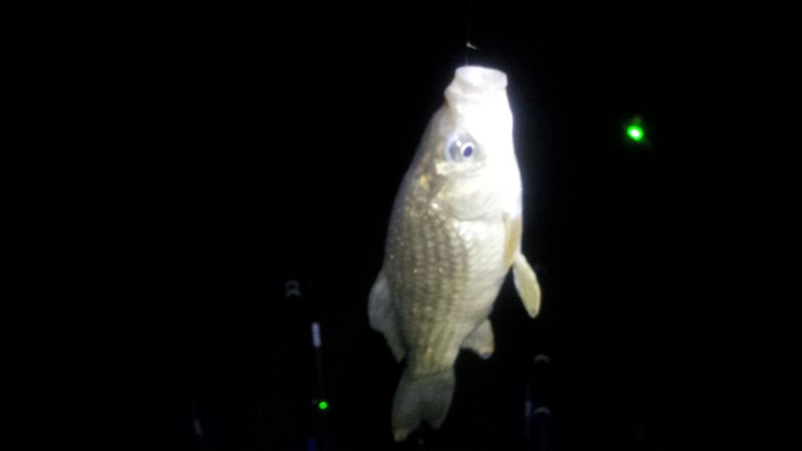 20140430_010932.jpg