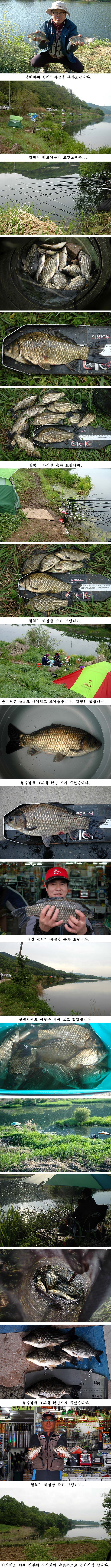 q5 纻.jpg