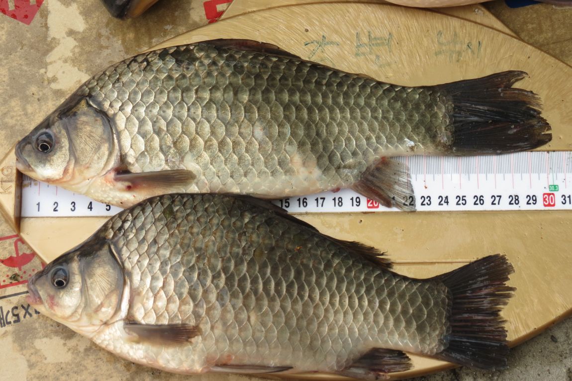 �� ���� 006.jpg