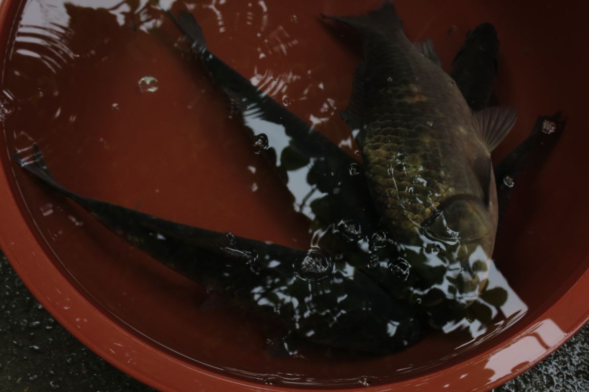 �� ���� 003.jpg