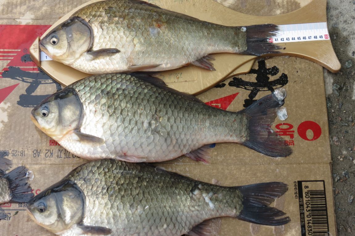 �� ���� 007.jpg