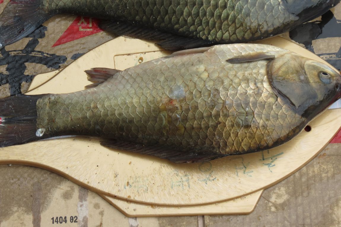 �� ���� 008.jpg