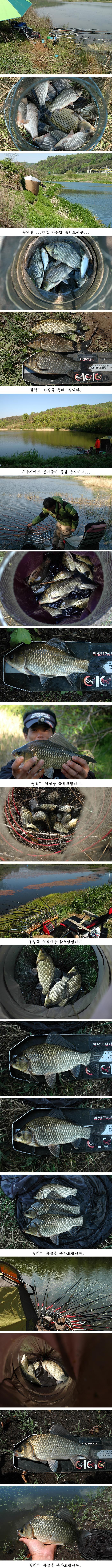 q2 纻.jpg