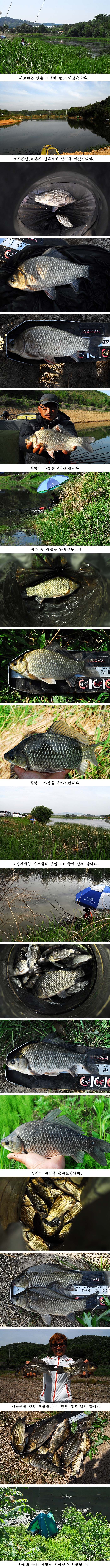 q5 纻.jpg
