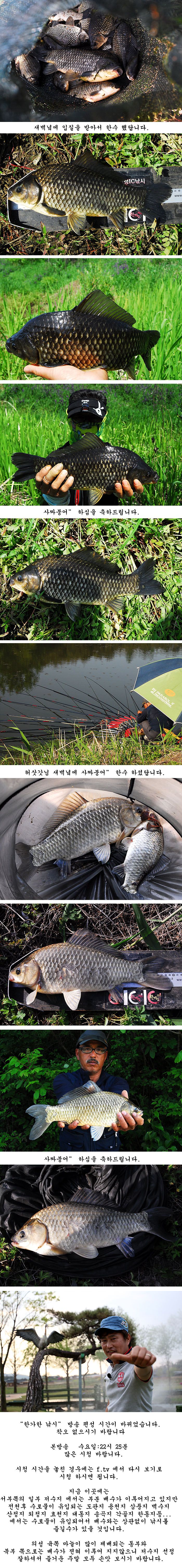 q6 纻.jpg