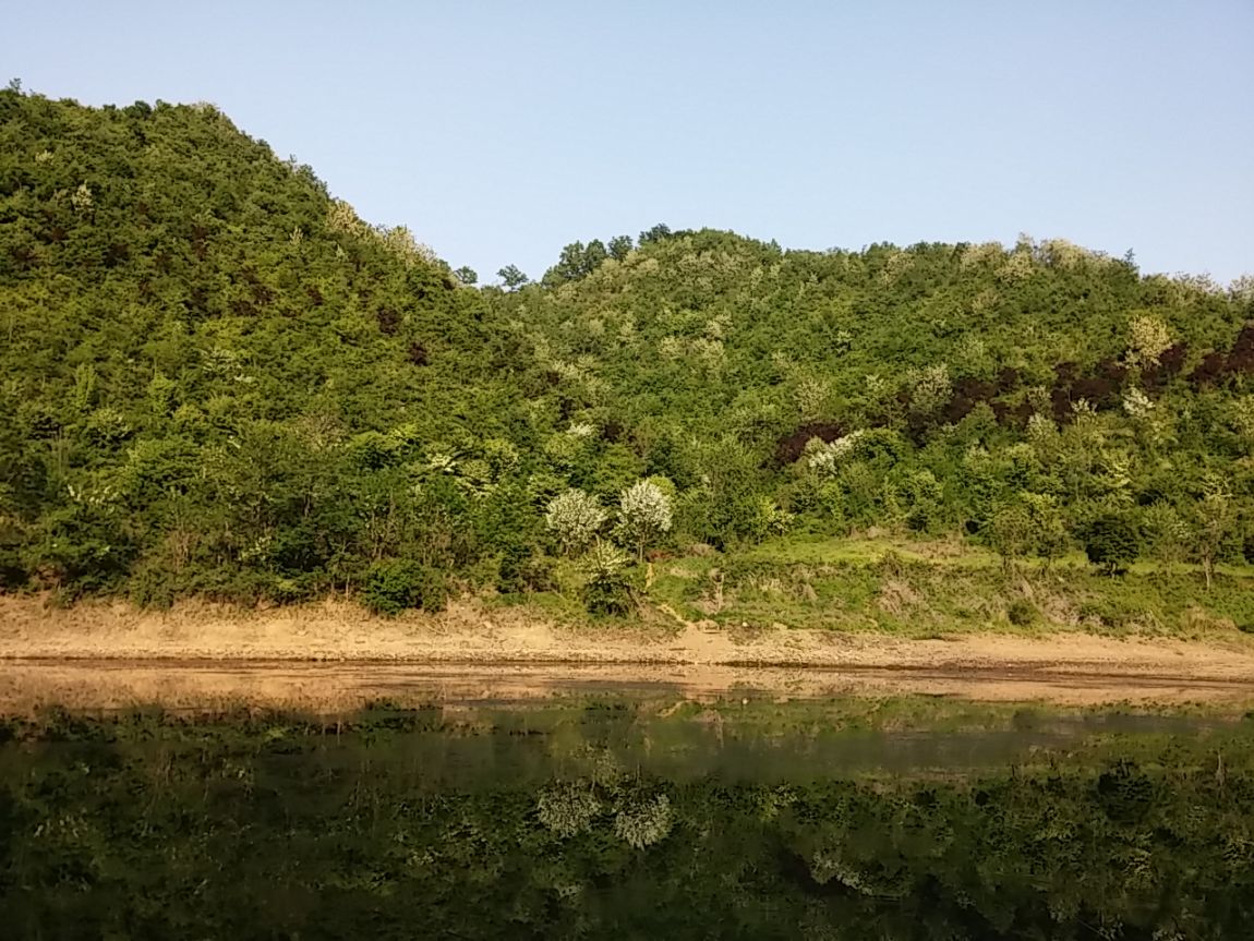 20140517_170735.jpg