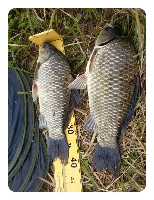 20140514_095643.jpg