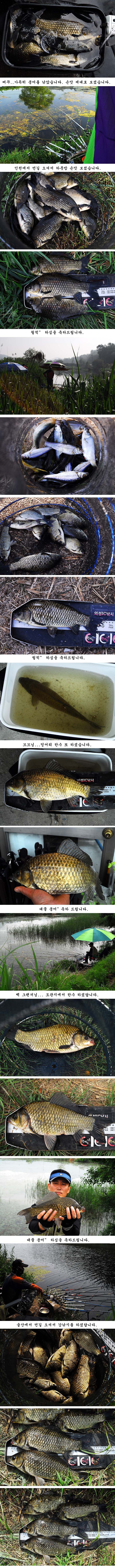q6 �纻.jpg