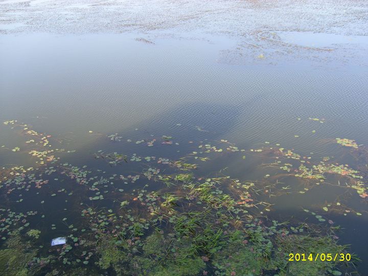 STP64646.jpg