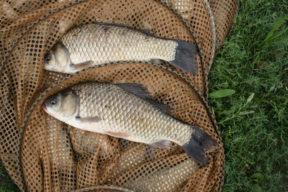 IMG_6916.JPG