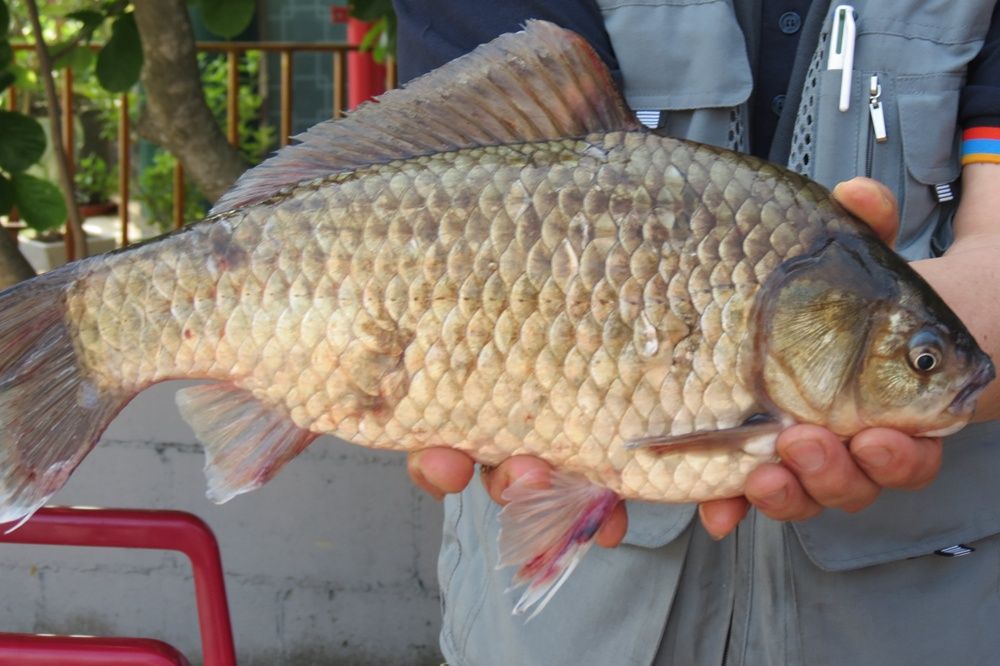 �� ���� 050.jpg