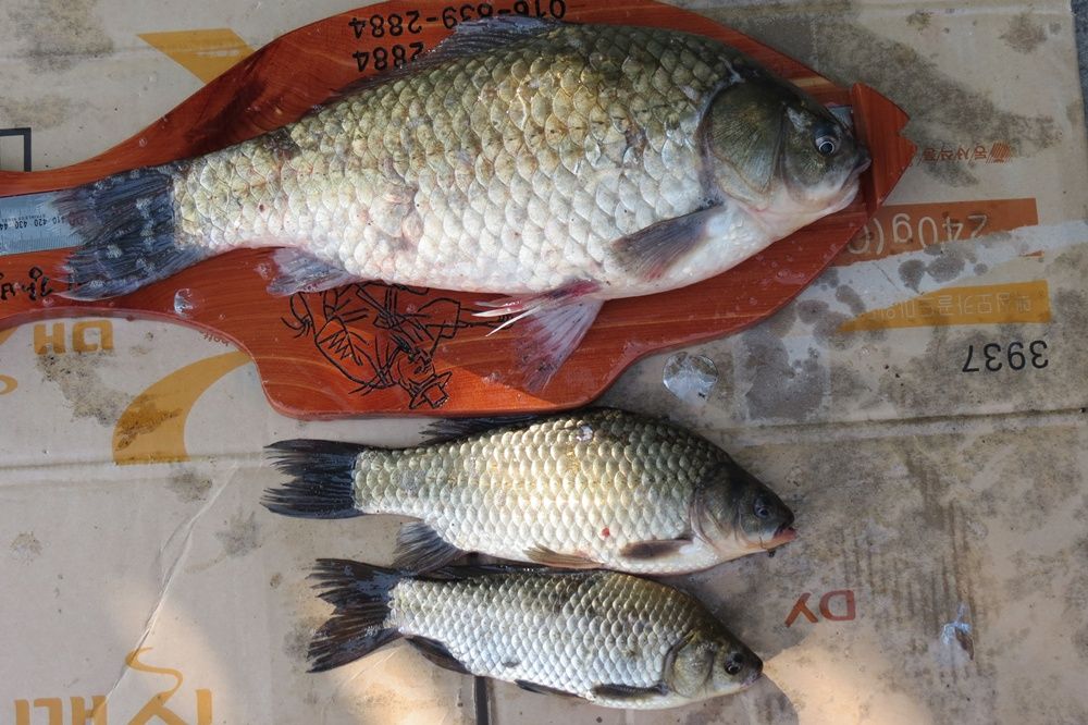 �� ���� 038.jpg