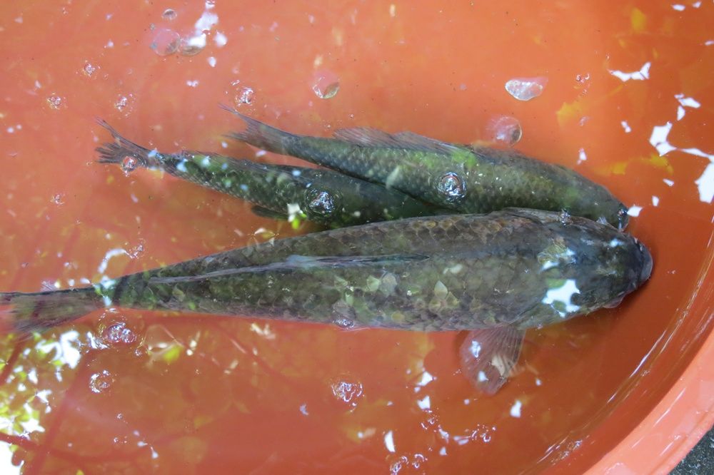 �� ���� 042.jpg