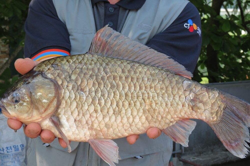 �� ���� 045.jpg